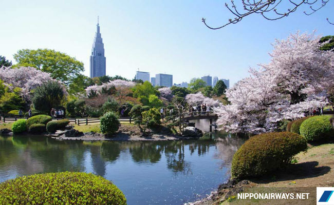 Những công viên bạn nên ghé thăm khi đến Tokyo