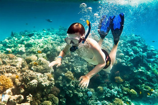 Khám phá đảo san hô Coral Pattaya đẹp nhất Thái Lan